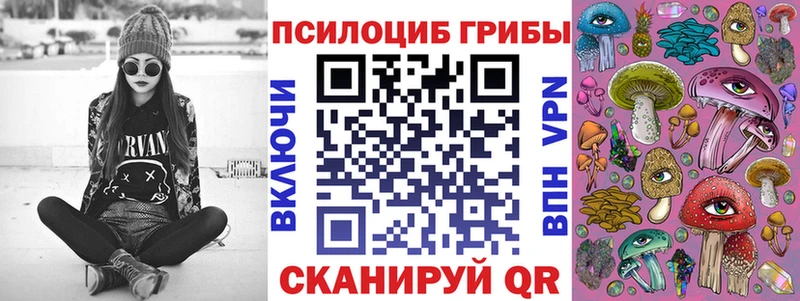 закладки  Кола  Галлюциногенные грибы прущие грибы 